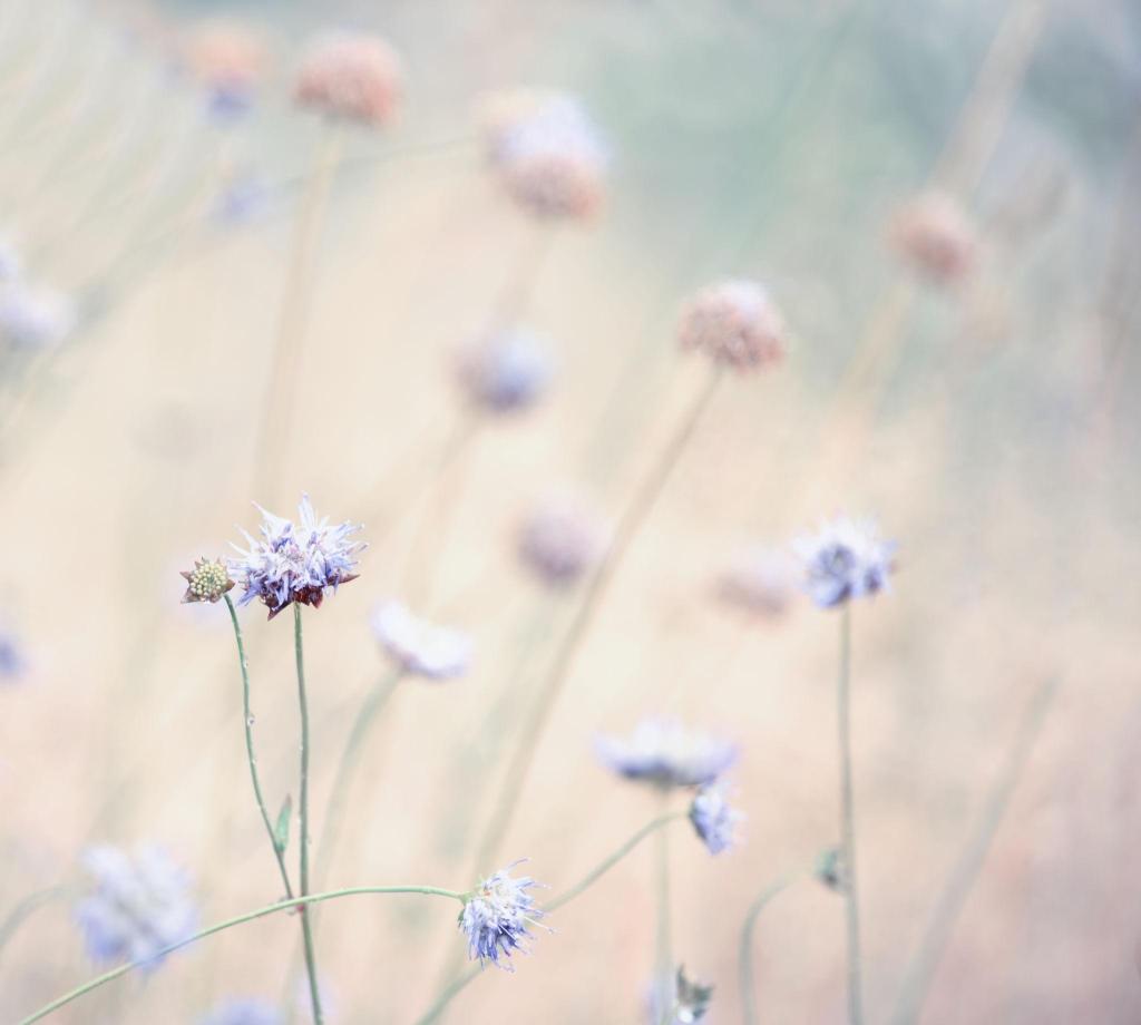 The Imperfect Diary: A&nbsp;Beginning